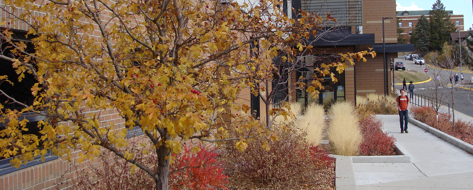 Montana Tech campus in fall